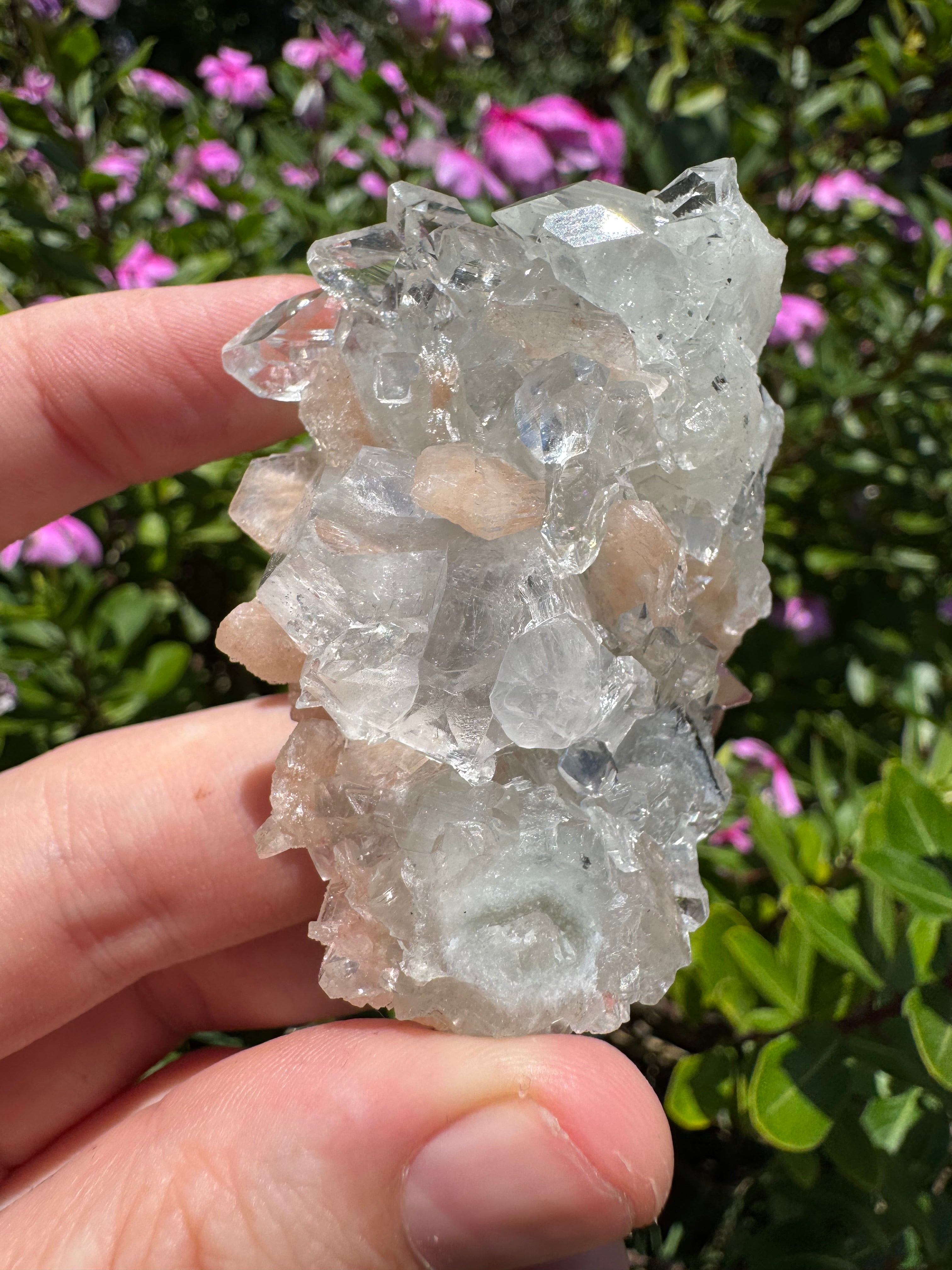 Glass Apophyllite With Stilbite Cluster - High Quality