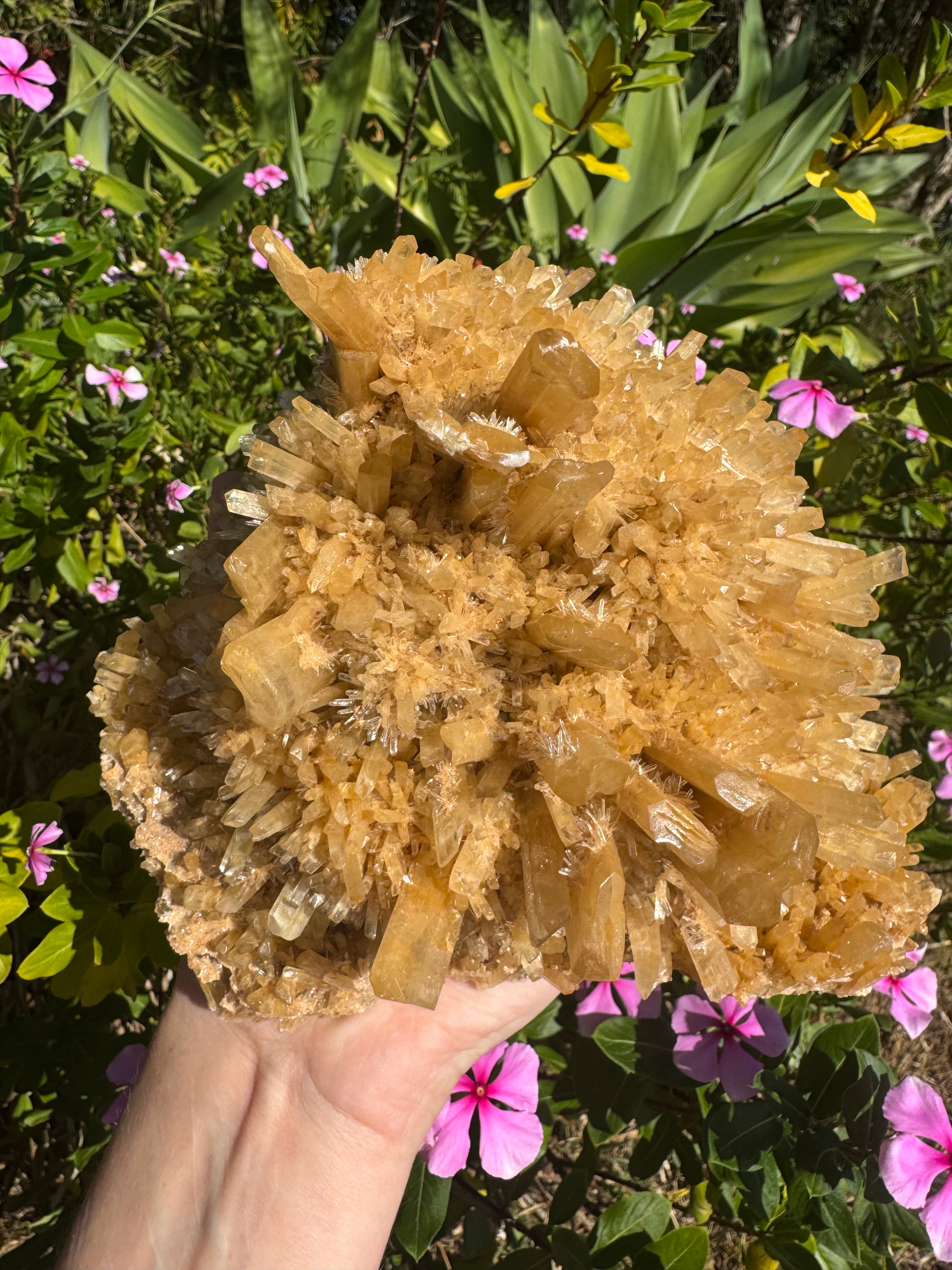 Selenite ‘Gypsum’ Natural Specimen
