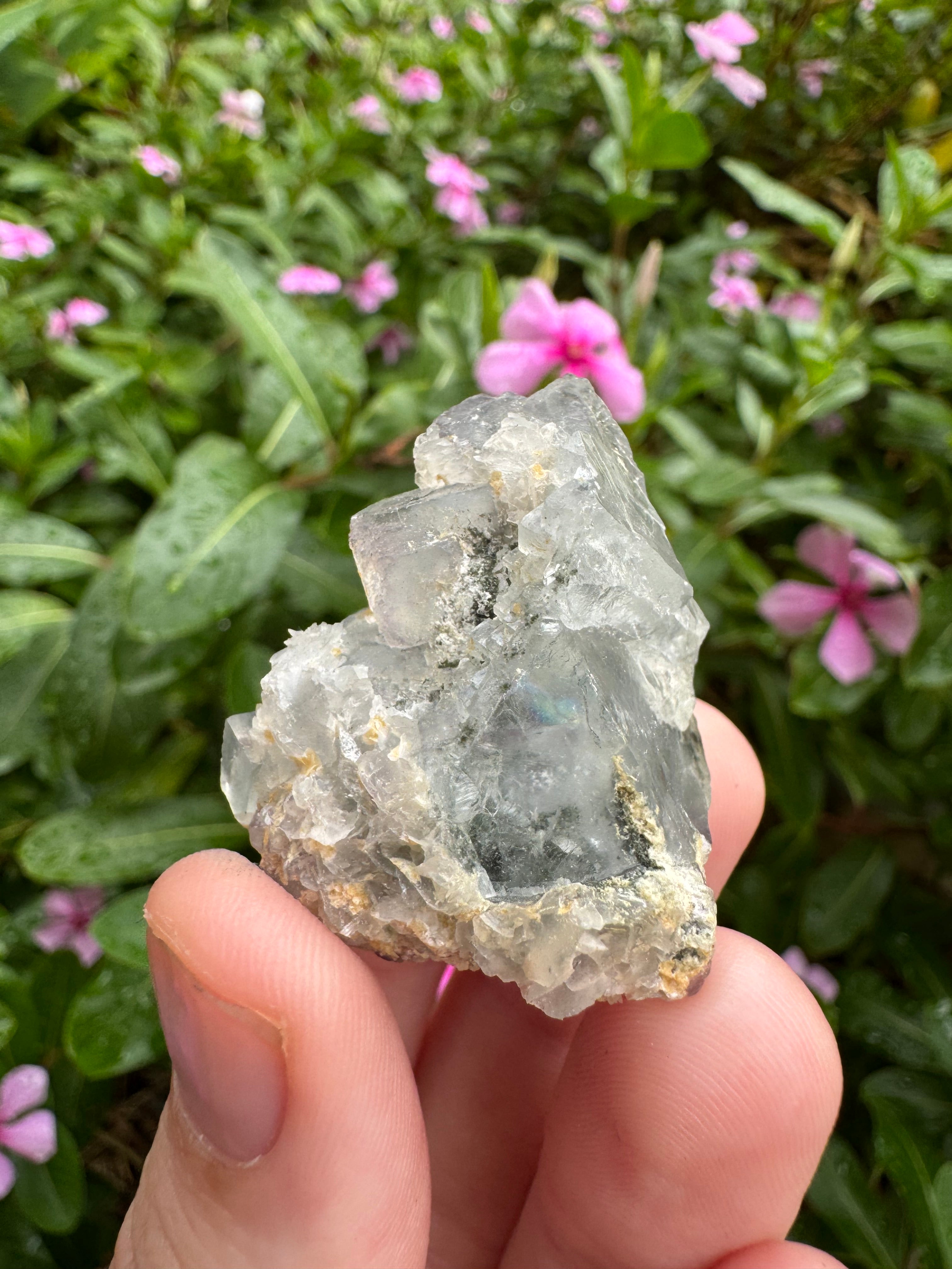 Blue Cubic Fluorite Cluster