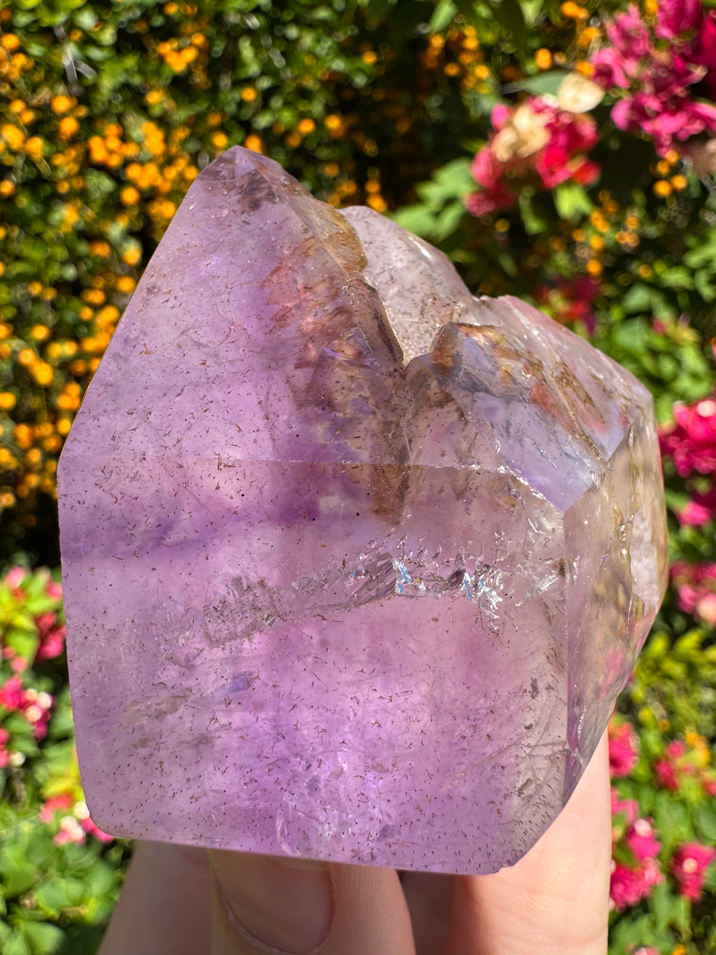 Inclusion Amethyst Freeform