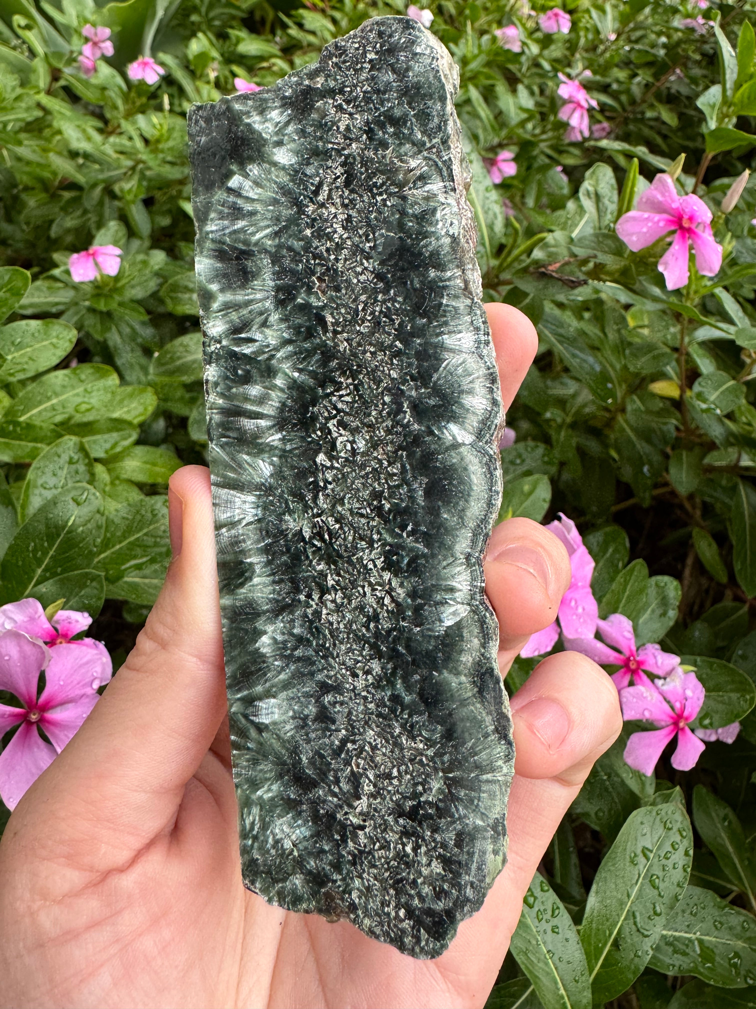 Seraphinite Slice with Stand