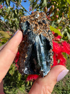 Vivianite on Matrix Specimen