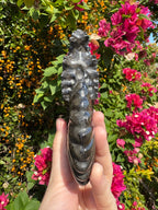 Black Ammonite Fossil with Pyrite Inclusions