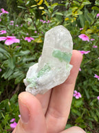 Green Tourmaline in Quartz Point - Pakistan
