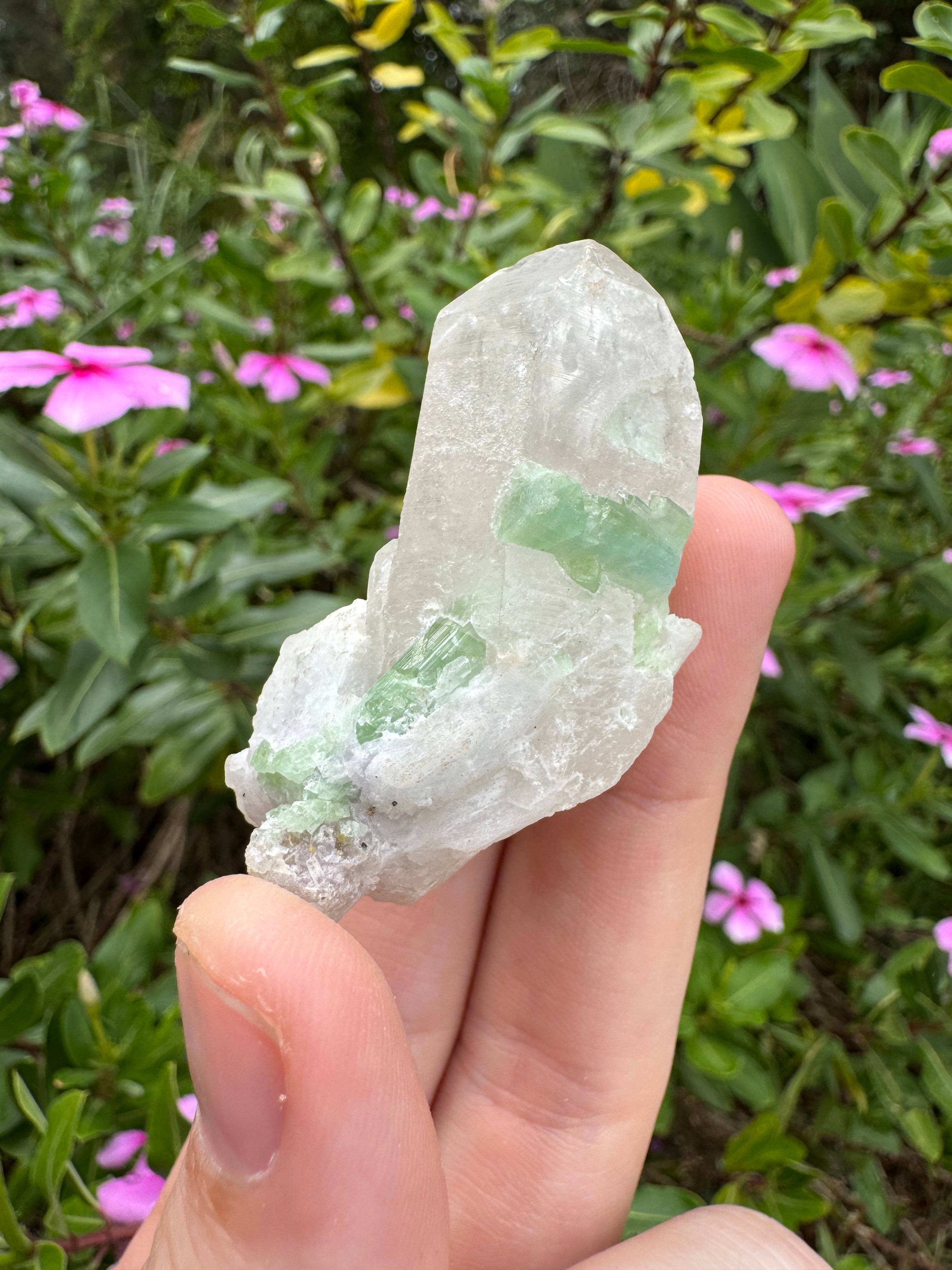 Green Tourmaline in Quartz Point - Pakistan