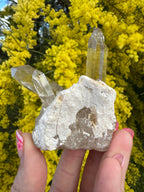Himalayan Rutile-Included Citrine Quartz Cluster on Matrix