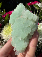 Quartz On Botryoidal Prehnite with Black Tourmaline Specimen