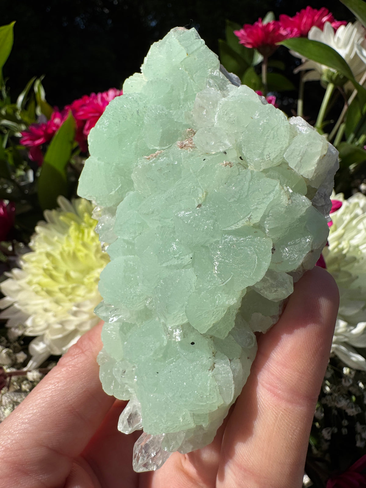 Quartz On Botryoidal Prehnite with Black Tourmaline Specimen