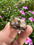 Mooralla Smoky Quartz Cluster