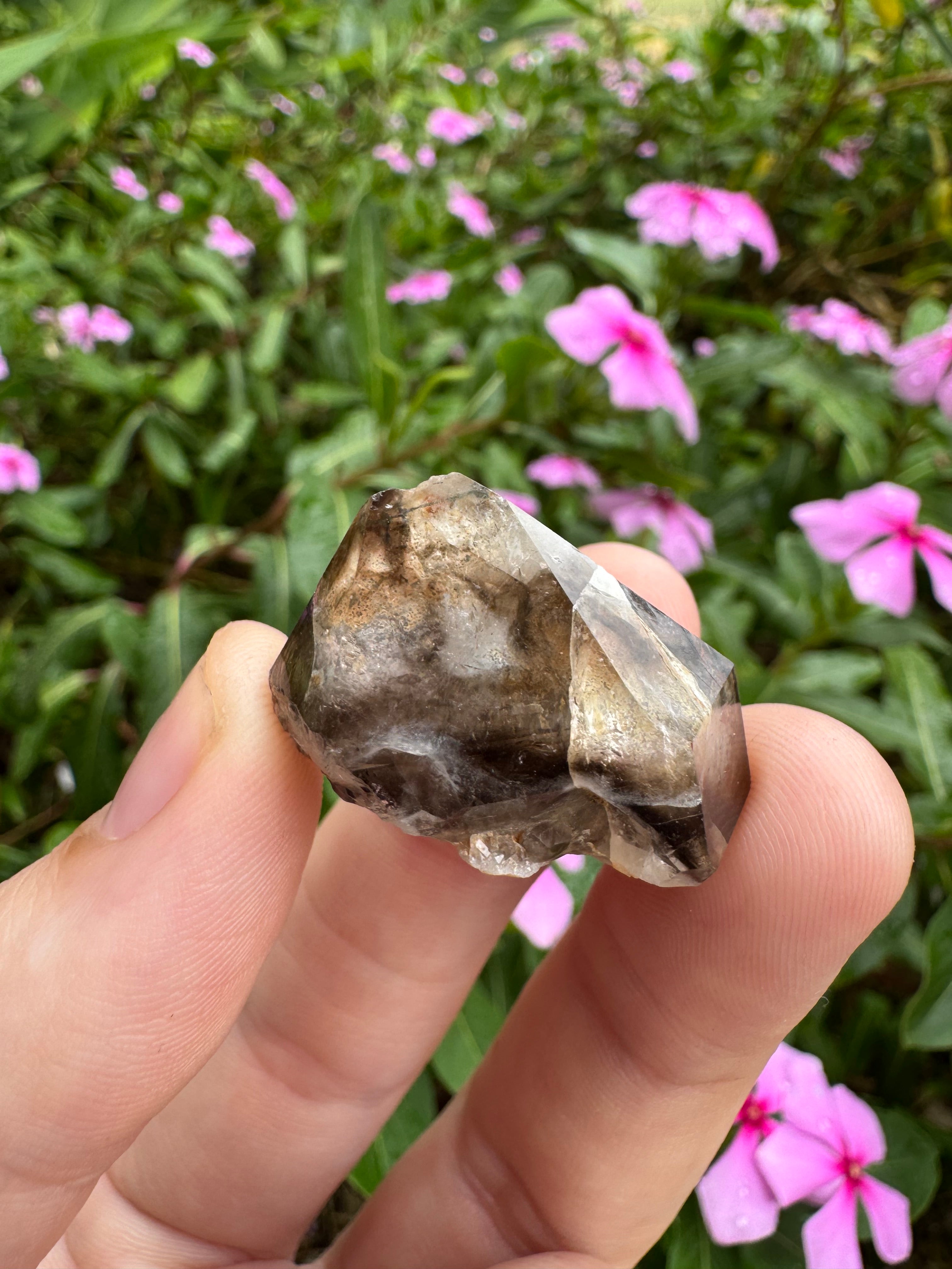Mooralla Smoky Quartz Cluster