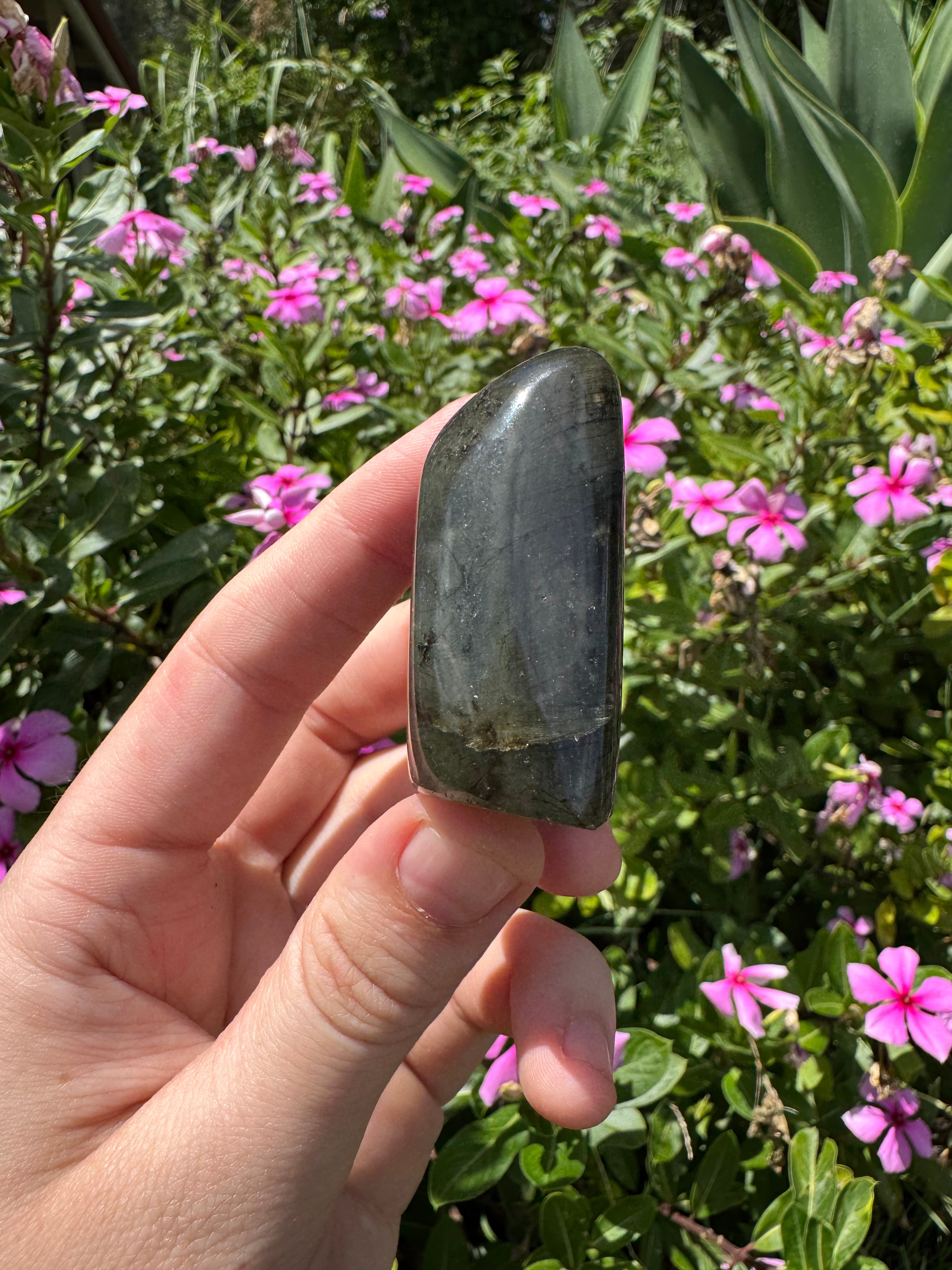 Spectrolite Labradorite Freeform