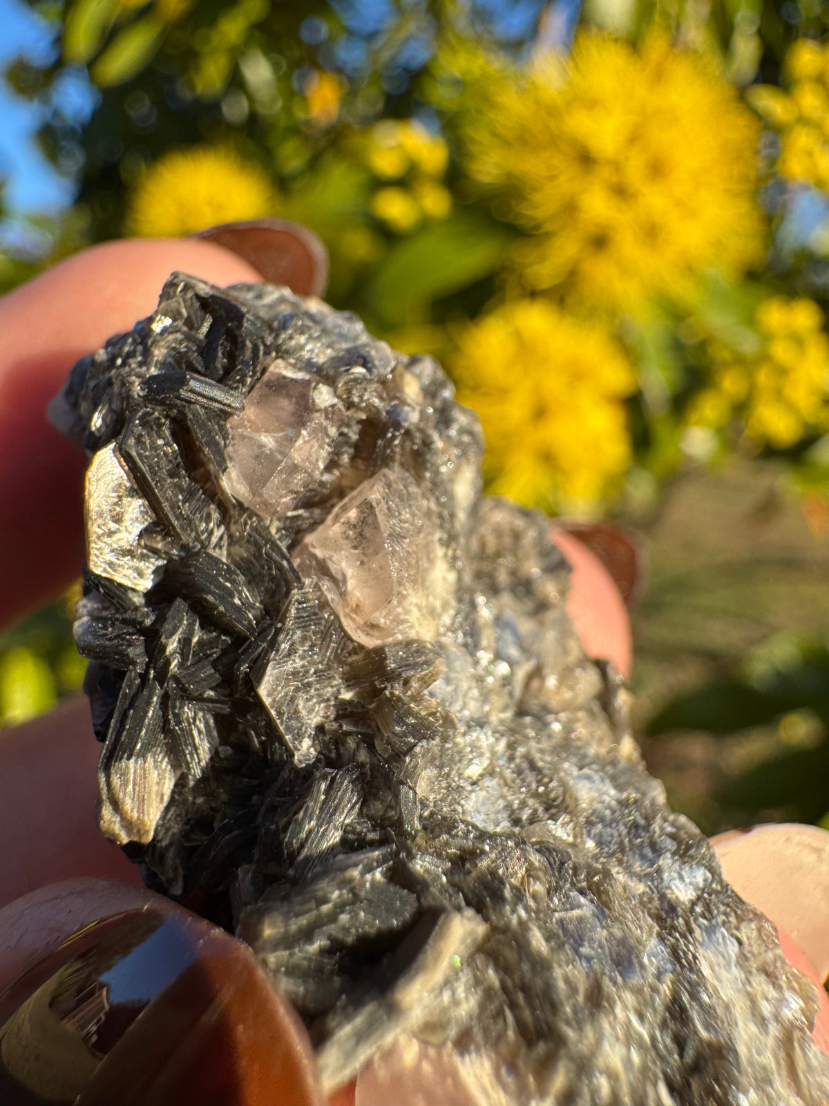 Pink Apatite On Mica Matrix Specimen