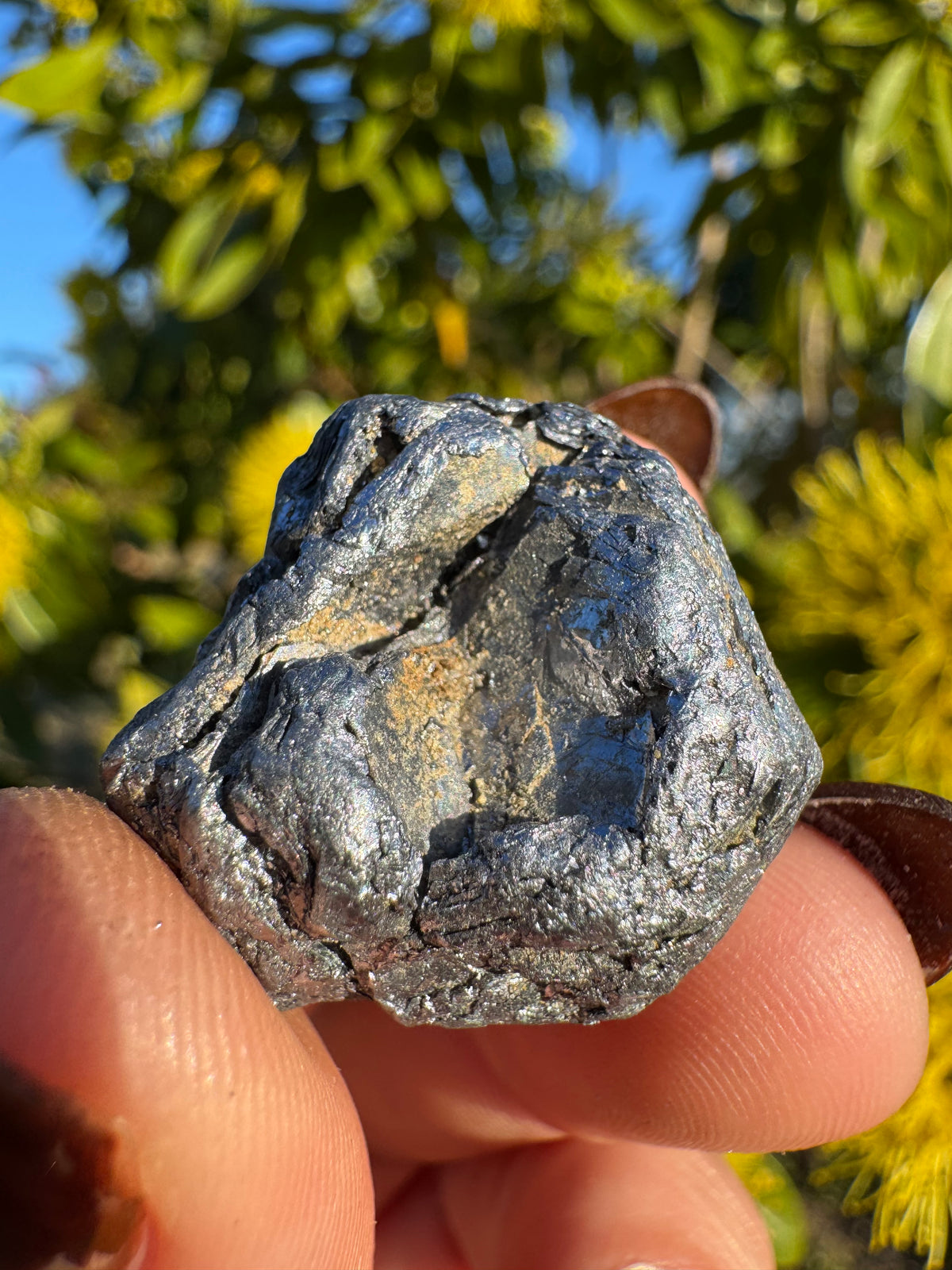 Molybdenite Specimen | Kingsgate