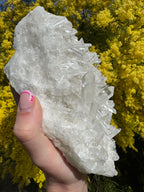 Clear Quartz Cluster