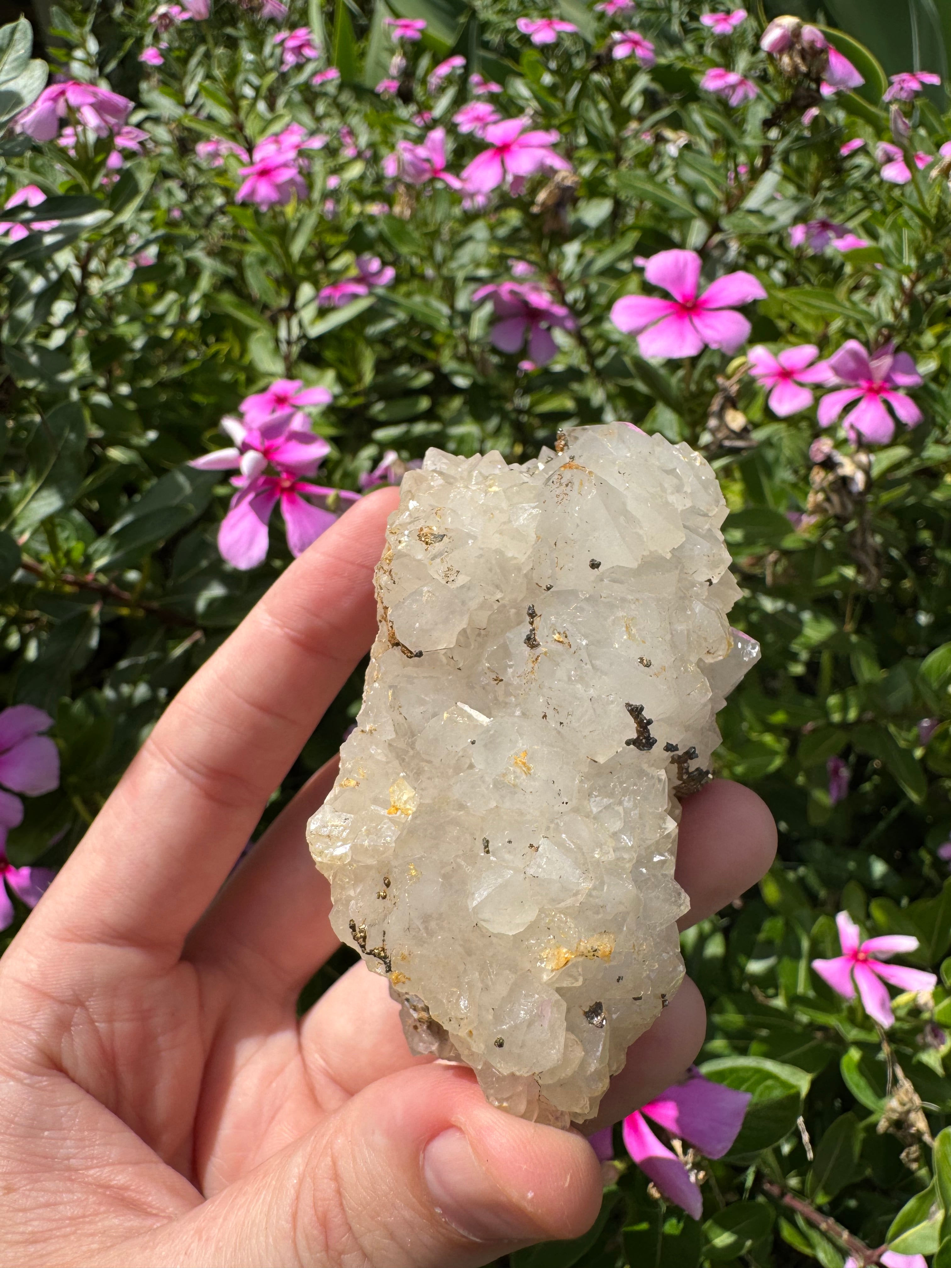 Pyrite on Quartz Specimen - High Quality