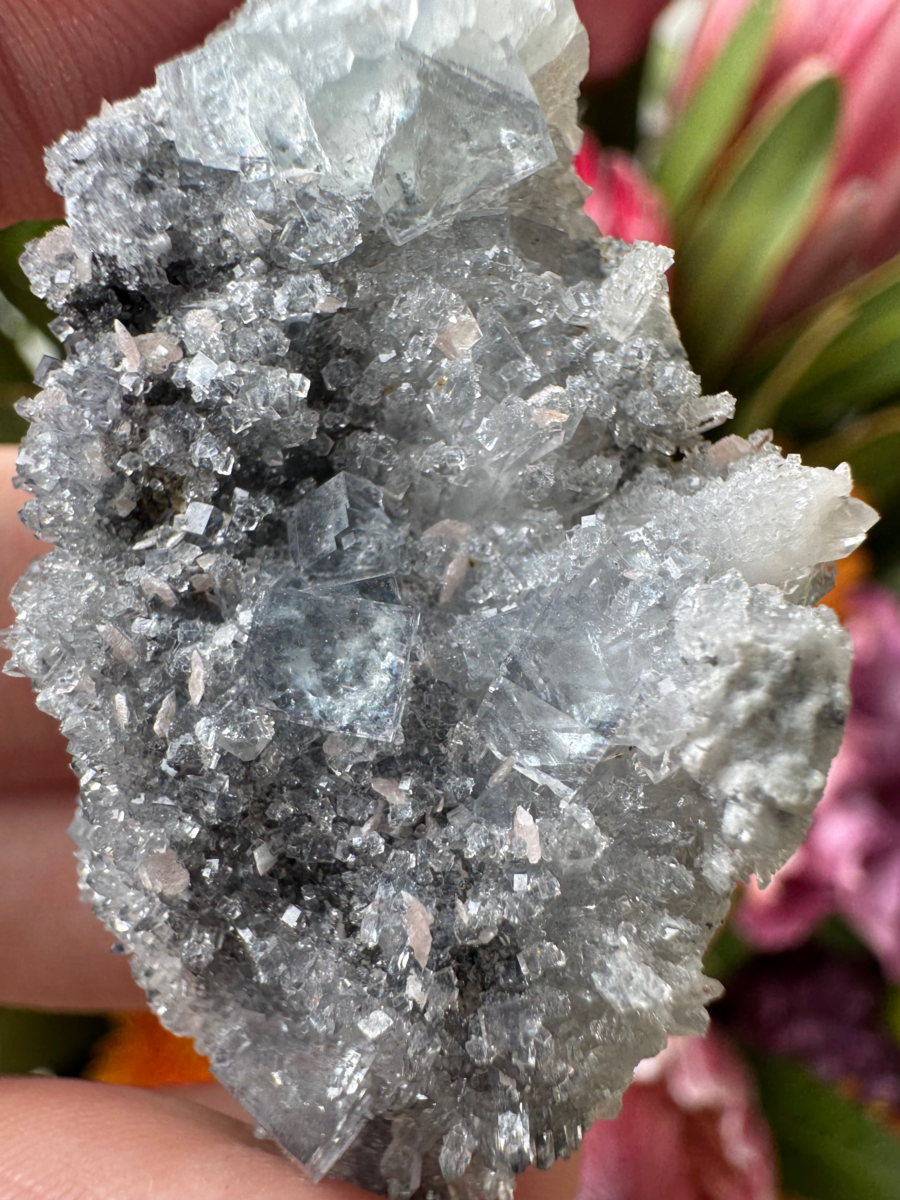 Rhodochrosite + Quartz + Fluorite Specimen