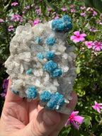 Cavansite On Zeolite Mineral Specimen