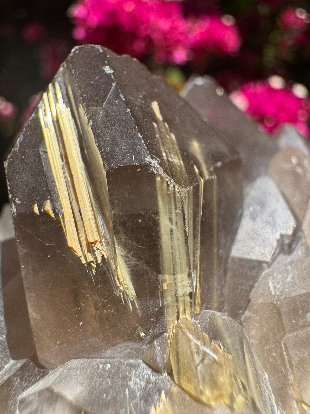 Smoky Quartz With Rutile Star Cluster
