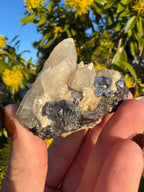 Spécimen de calcite en dents de chien sur matrice de galène