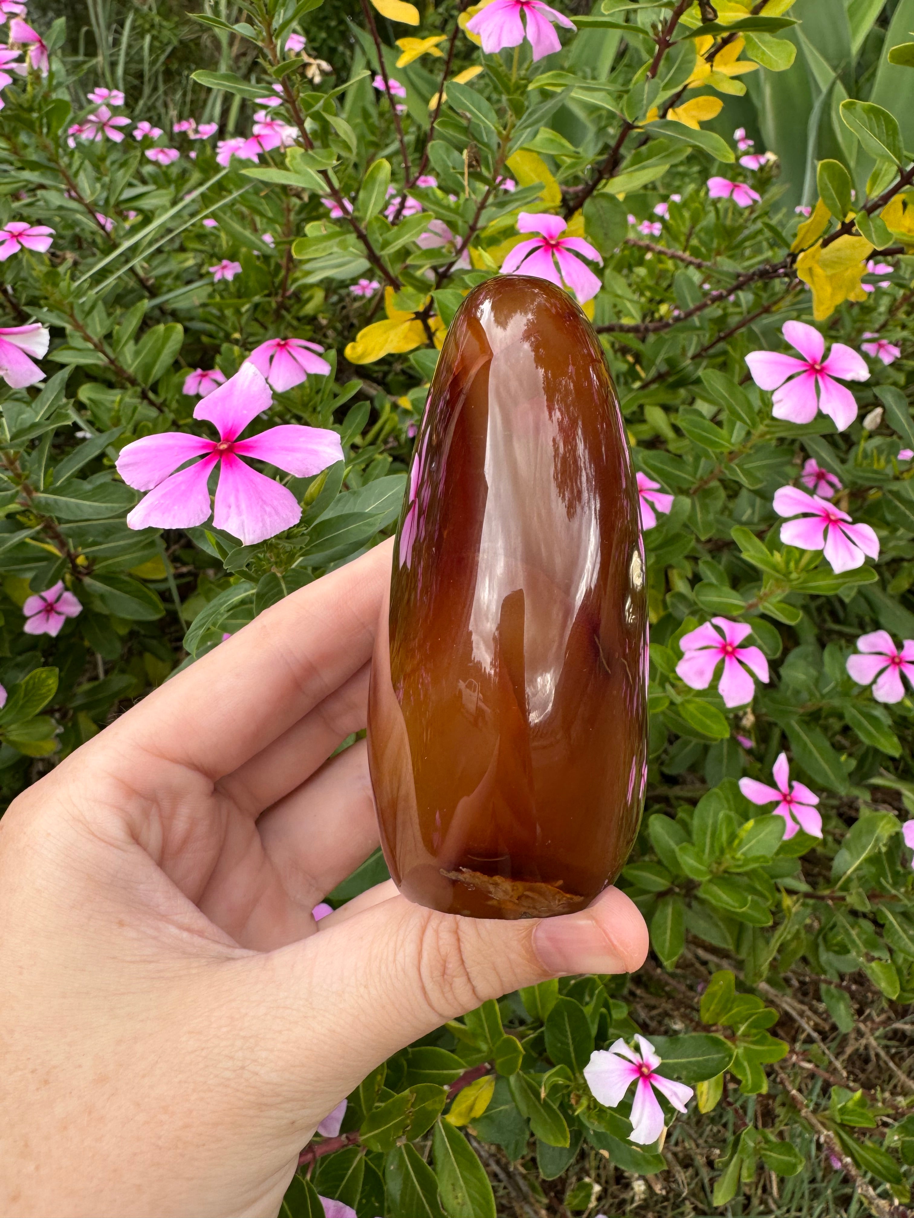 Carnelian Freeform - Natural Carved Inclusion