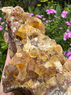 Yellow Cubic Fluorite on Iron-Stained Quartz Specimen
