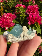Eronga Aquamarine Specimen - High Quality