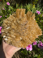 Selenite ‘Gypsum’ Natural Specimen