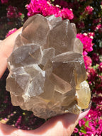 Smoky Quartz With Rutile Star Cluster
