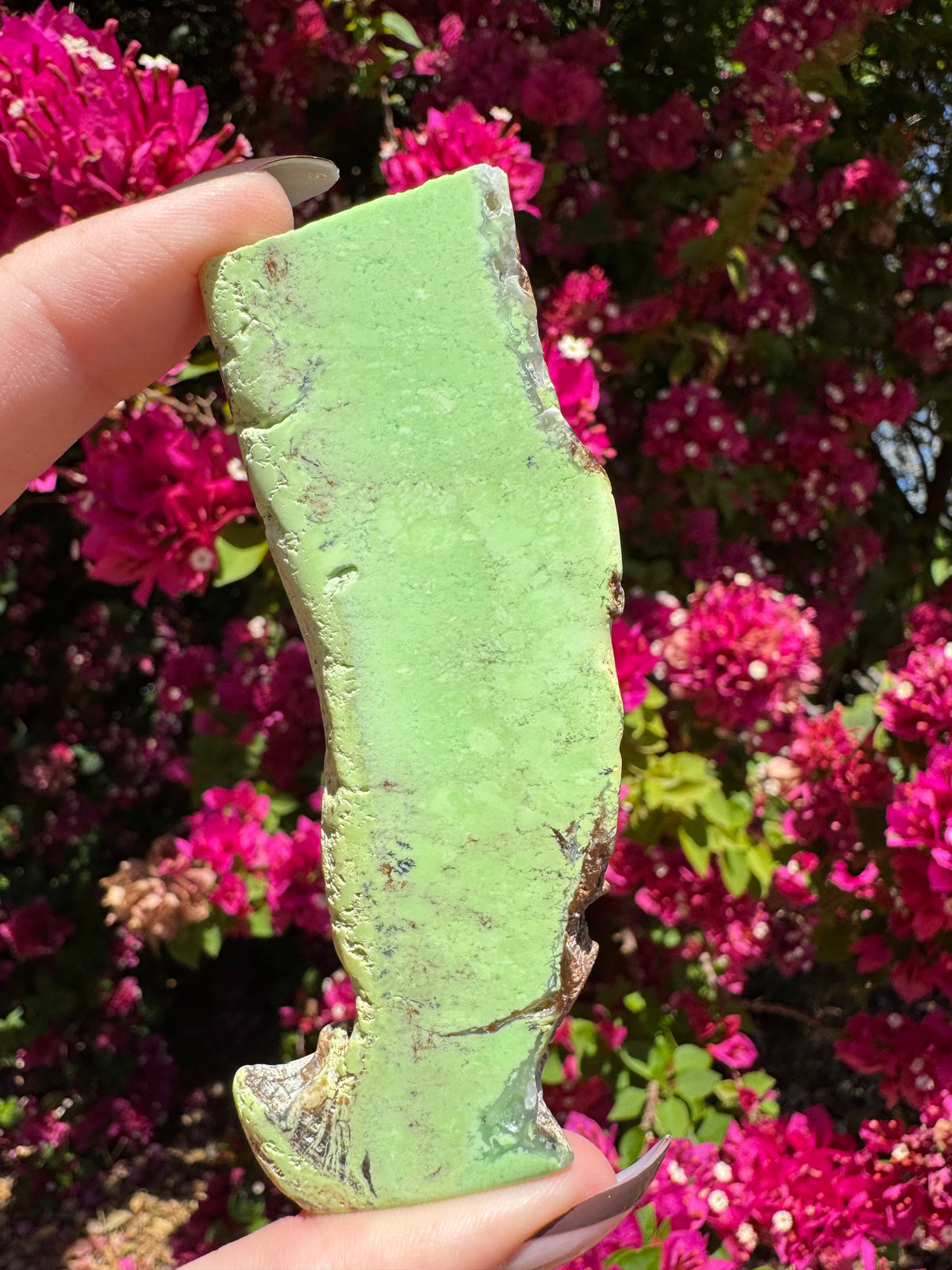 Lemon Chrysoprase Slice | Yerilla