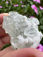 Sugar-Coated Cubic Fluorite Cluster