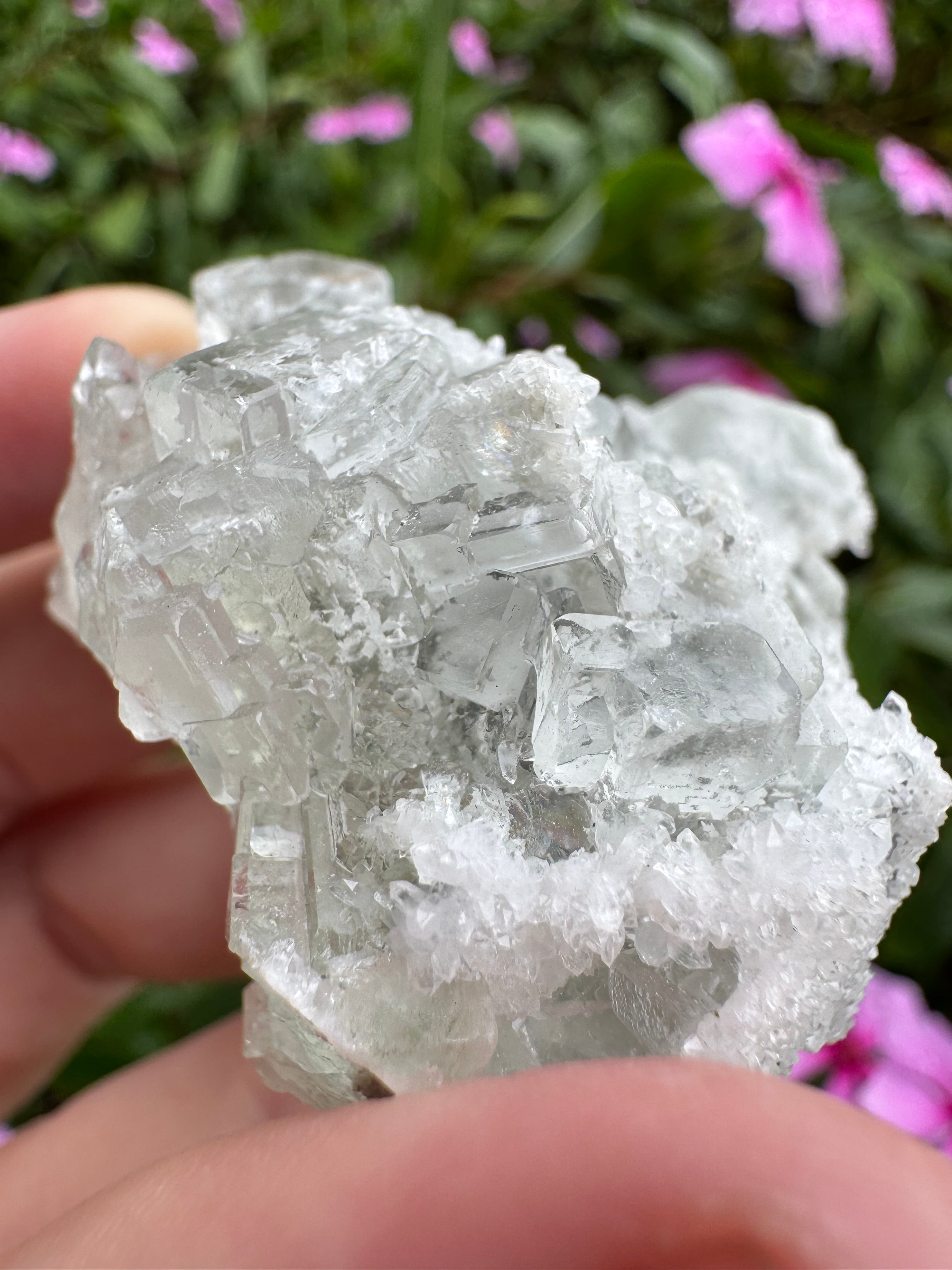 Sugar-Coated Cubic Fluorite Cluster