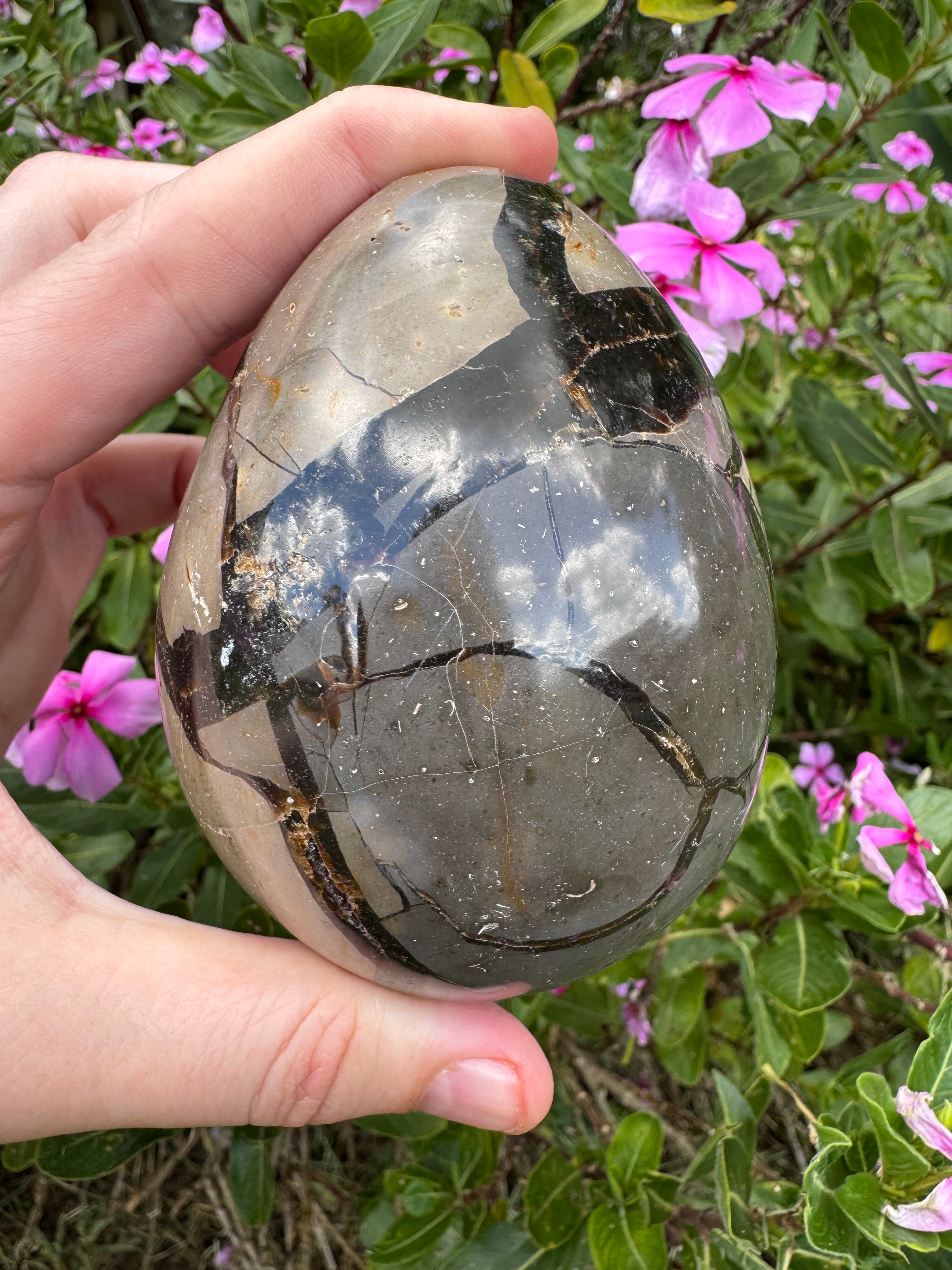 Septarian Druzy Egg with Calcite Inclusions