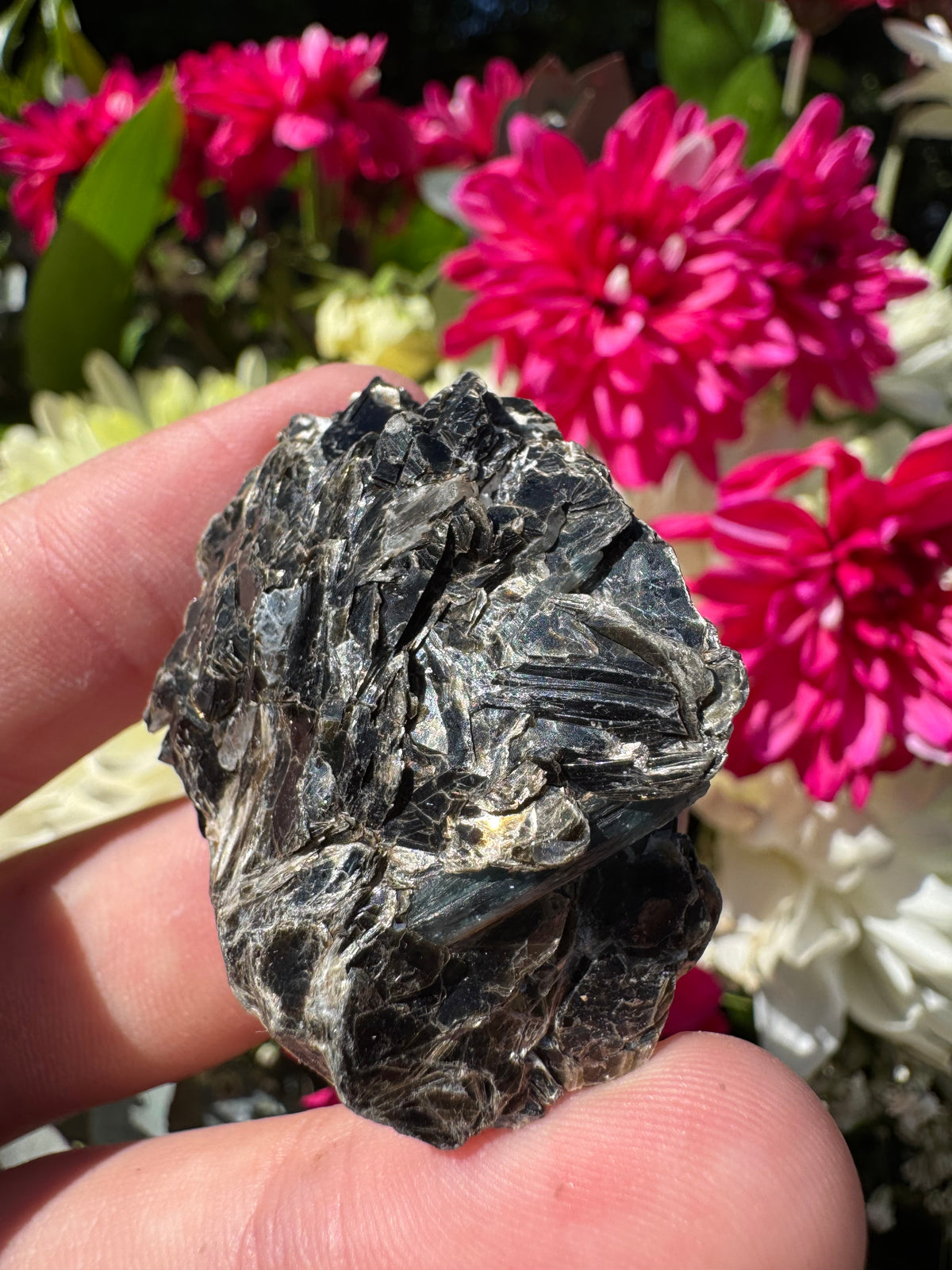Ocean Kyanite Specimen – Mount Riddock