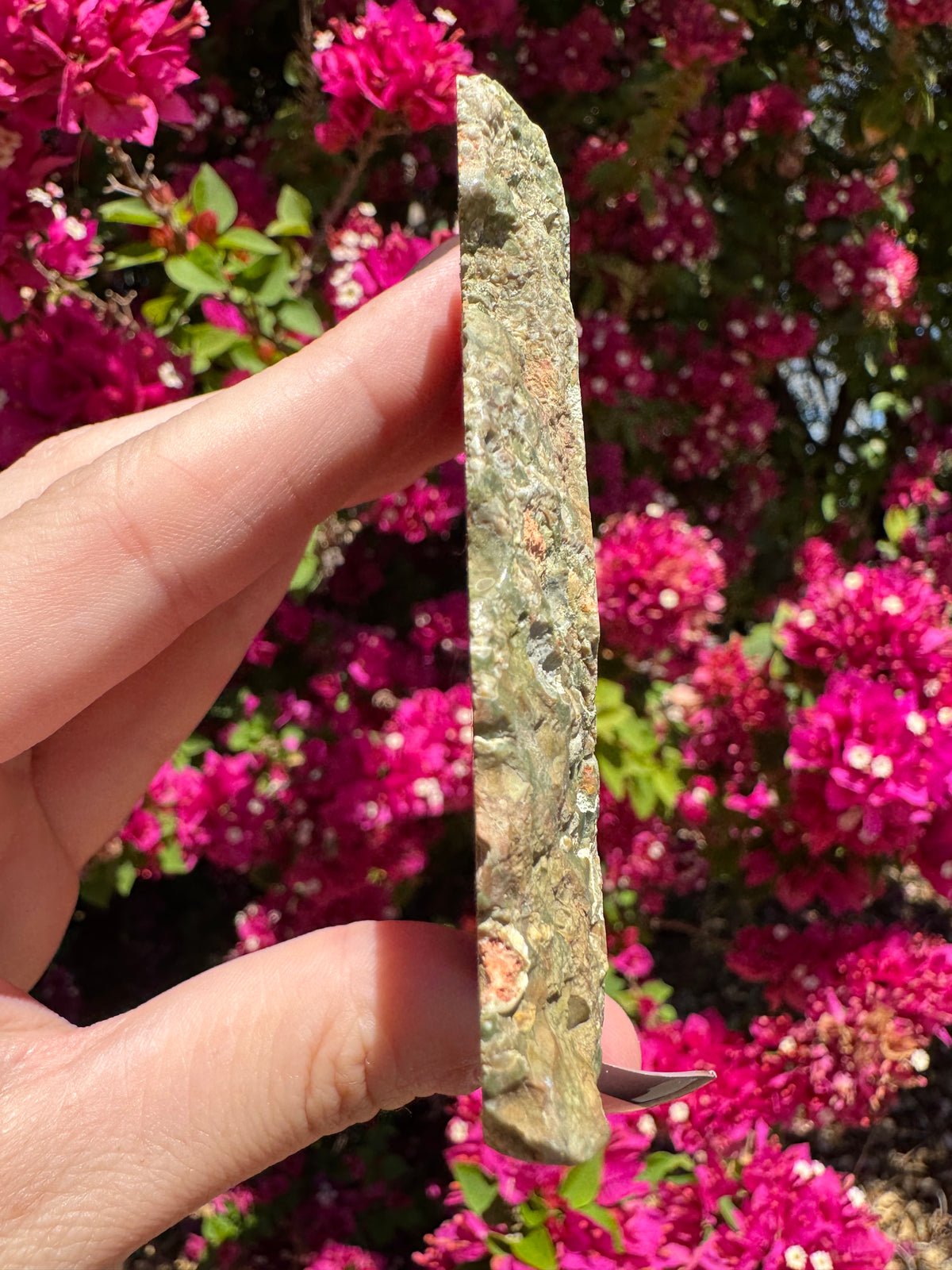 Rainforest Jasper Slice | Mount Hay