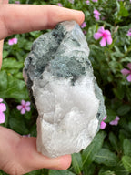 Silver Garden Quartz with Actinolite Inclusions Point