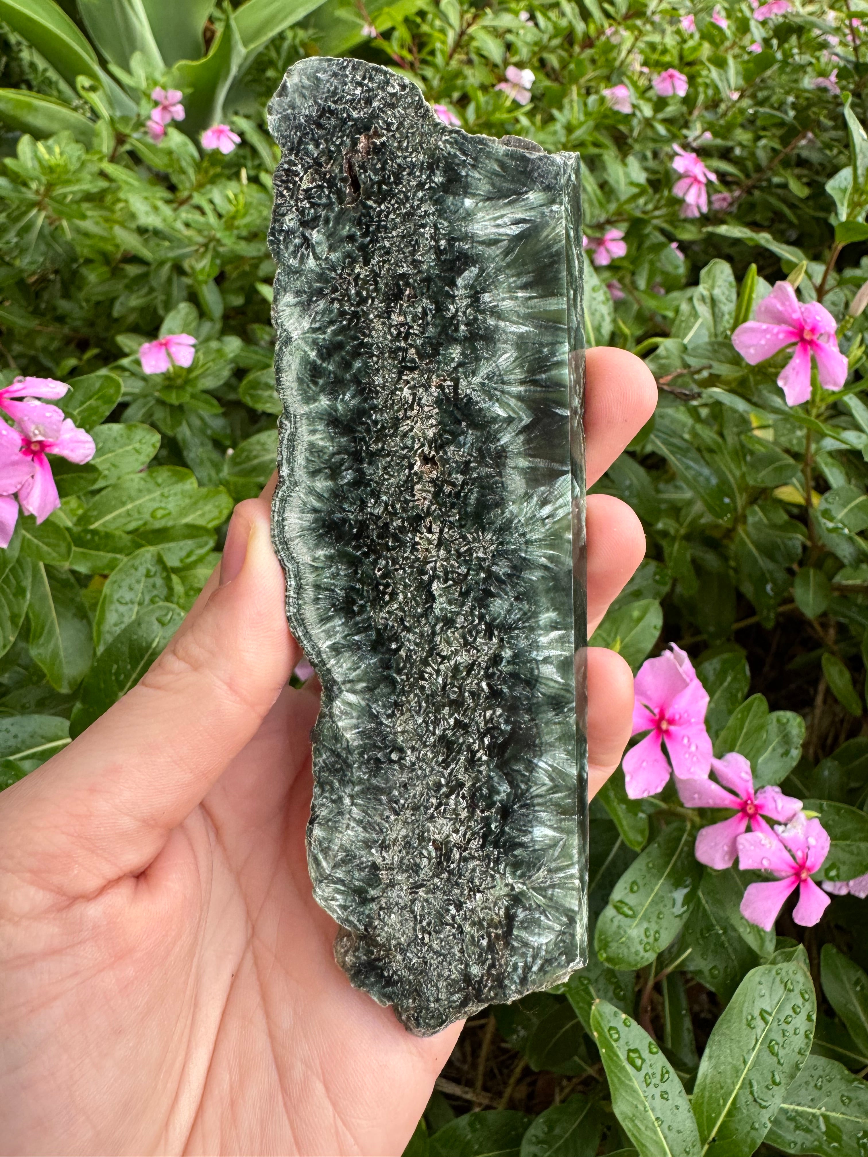 Seraphinite Slice with Stand
