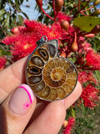 Opalised Dendritic Ammonite Fossil Pendant