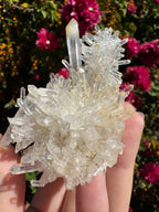 Lemurian ‘Mango’ Quartz Cluster