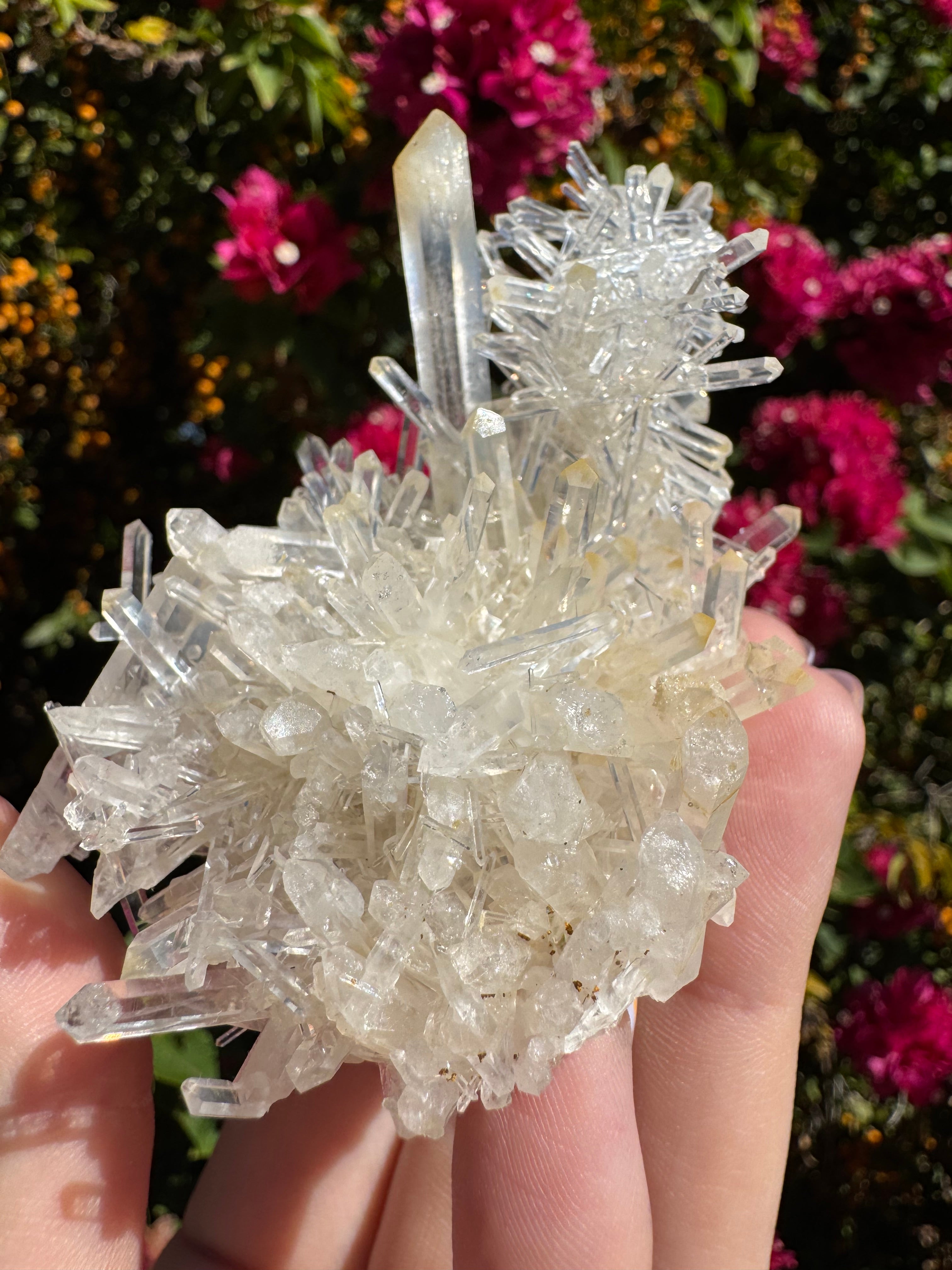 Colombian Mango Quartz Cluster