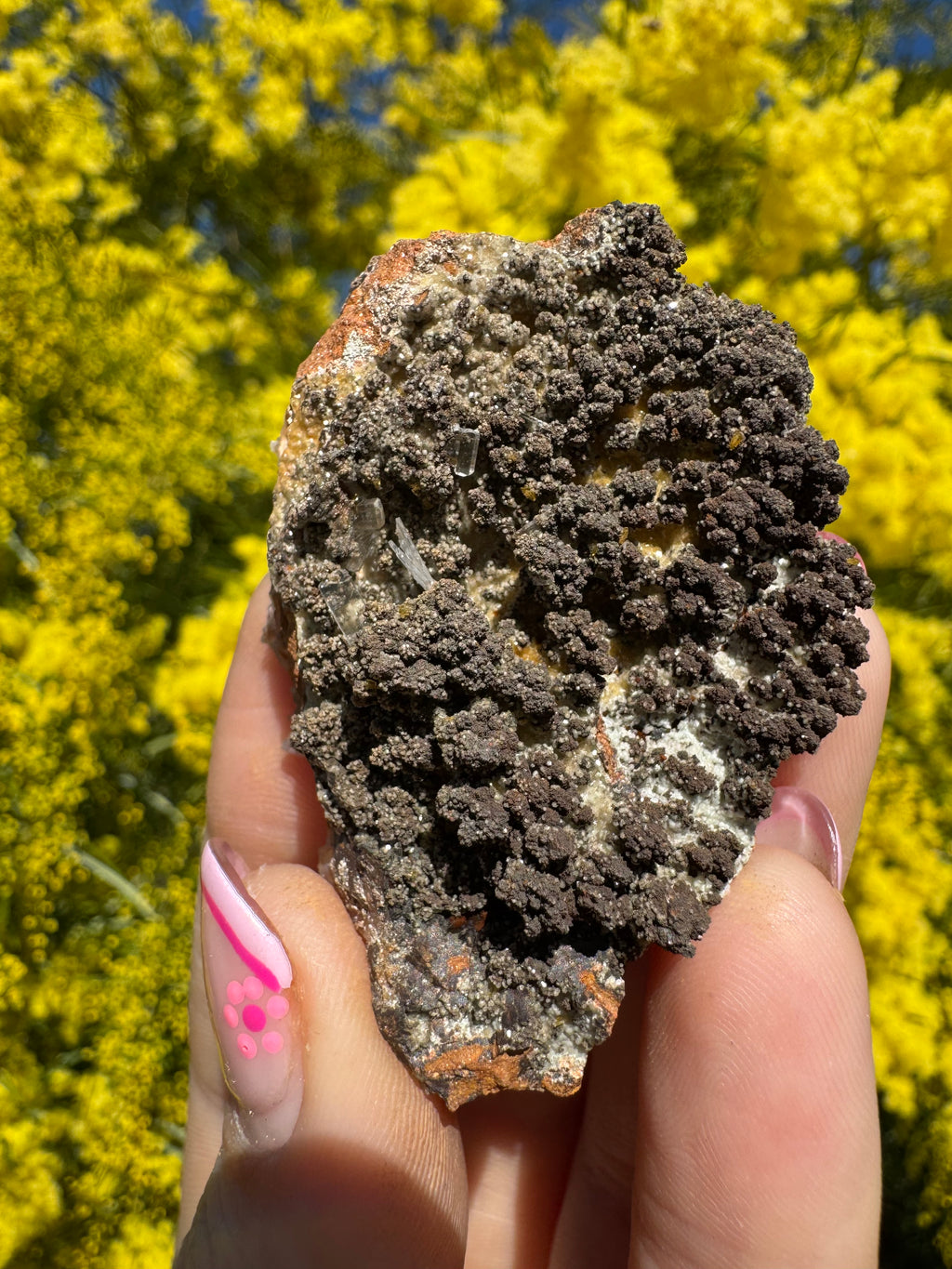 Clear Hemimorphite Cluster - Durango Mexico