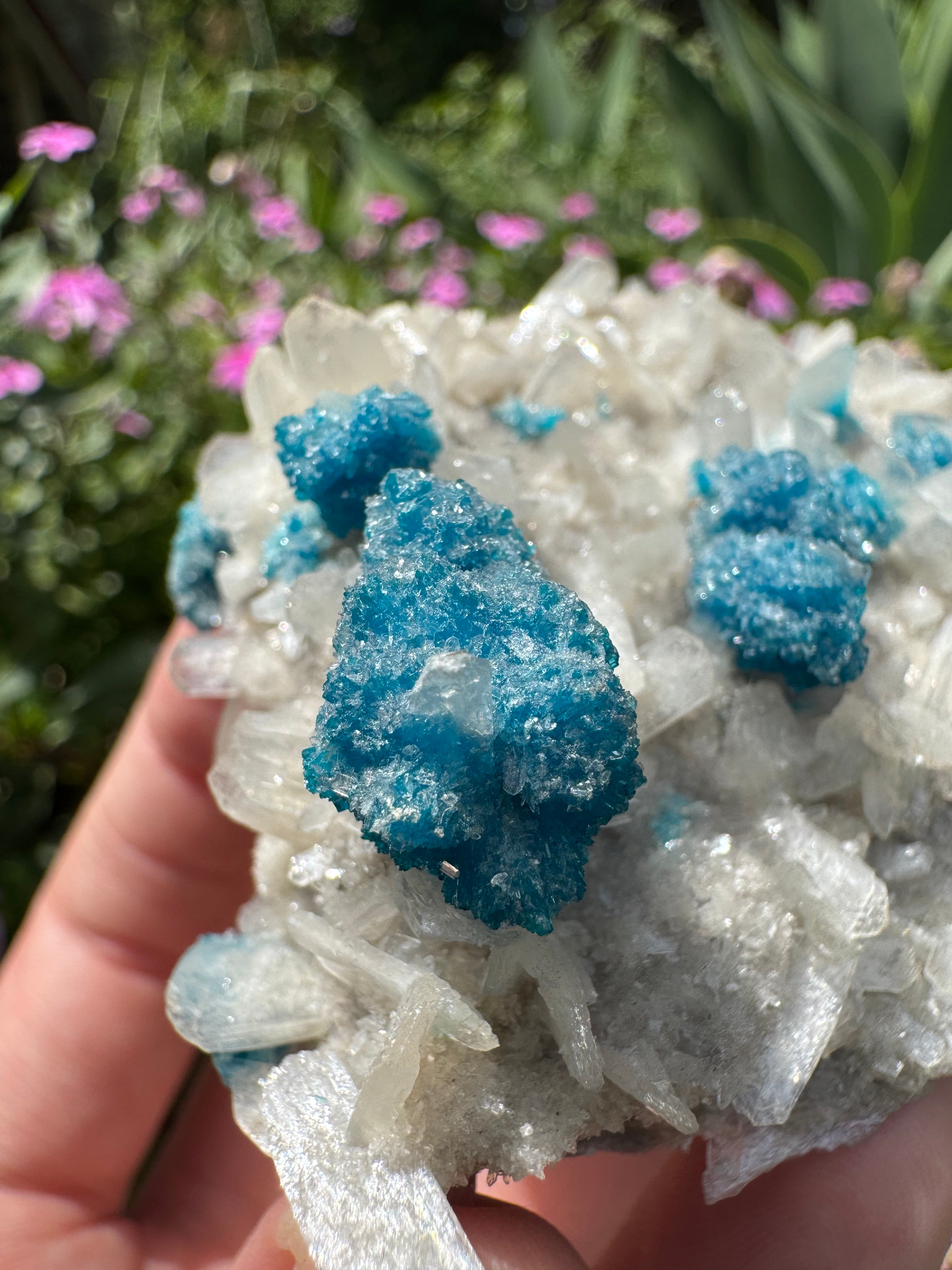Cavansite On Zeolite Mineral Specimen