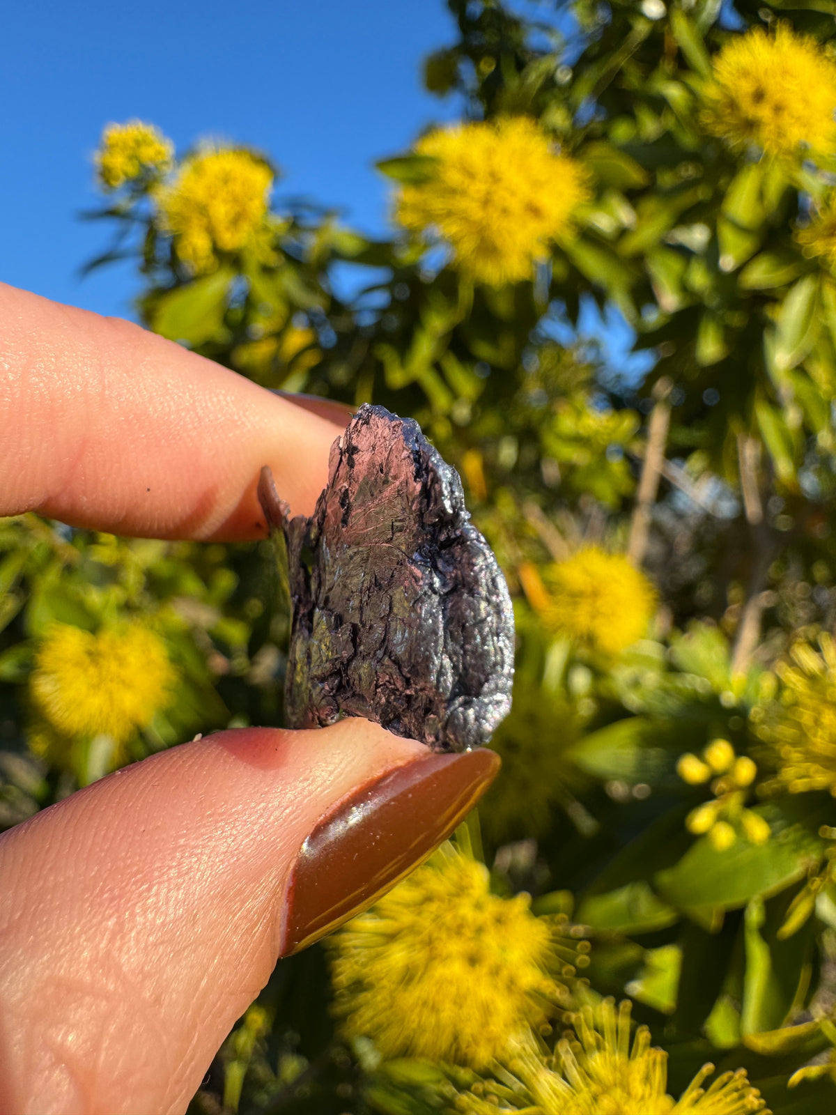 Molybdenite Specimen | Kingsgate