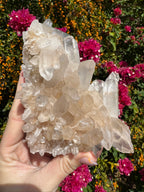 Pink Himalayan Samadhi Quartz Cluster