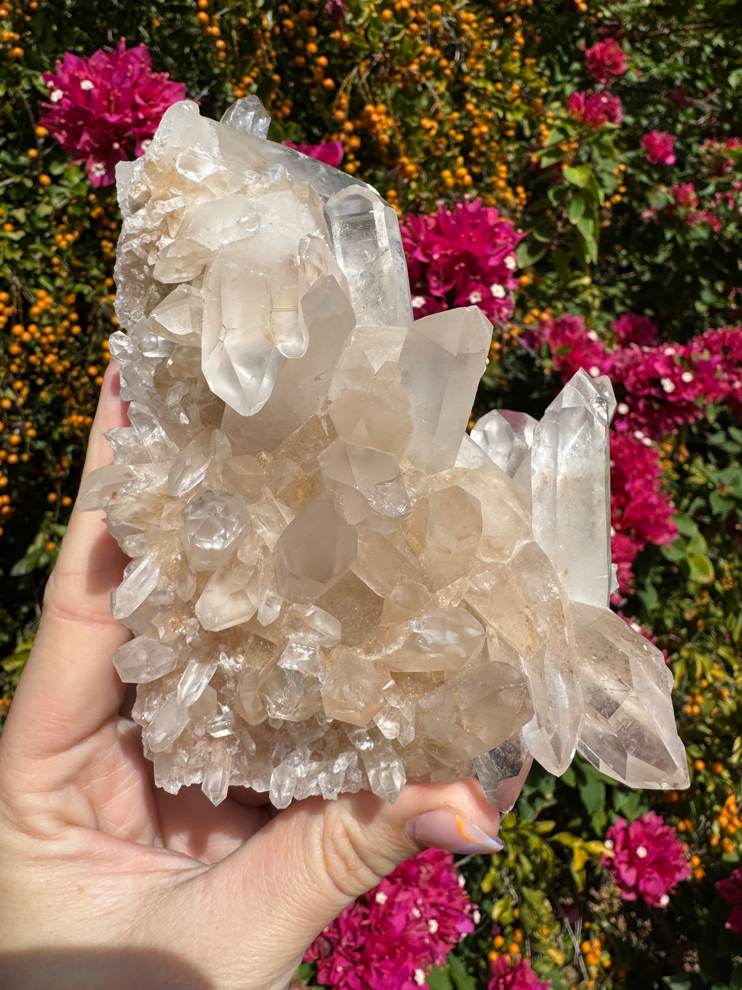 Pink Himalayan Samadhi Quartz Cluster