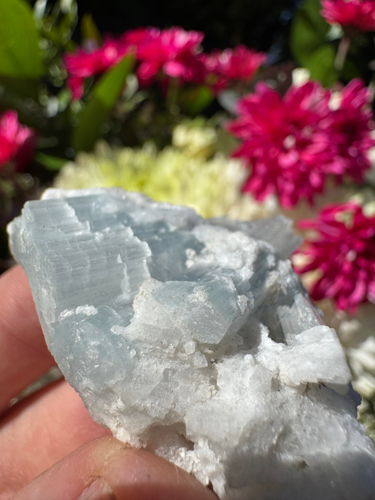 Cats Eye Aquamarine Specimen