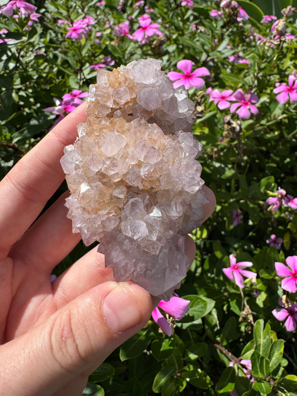 Spirit Quartz Cluster