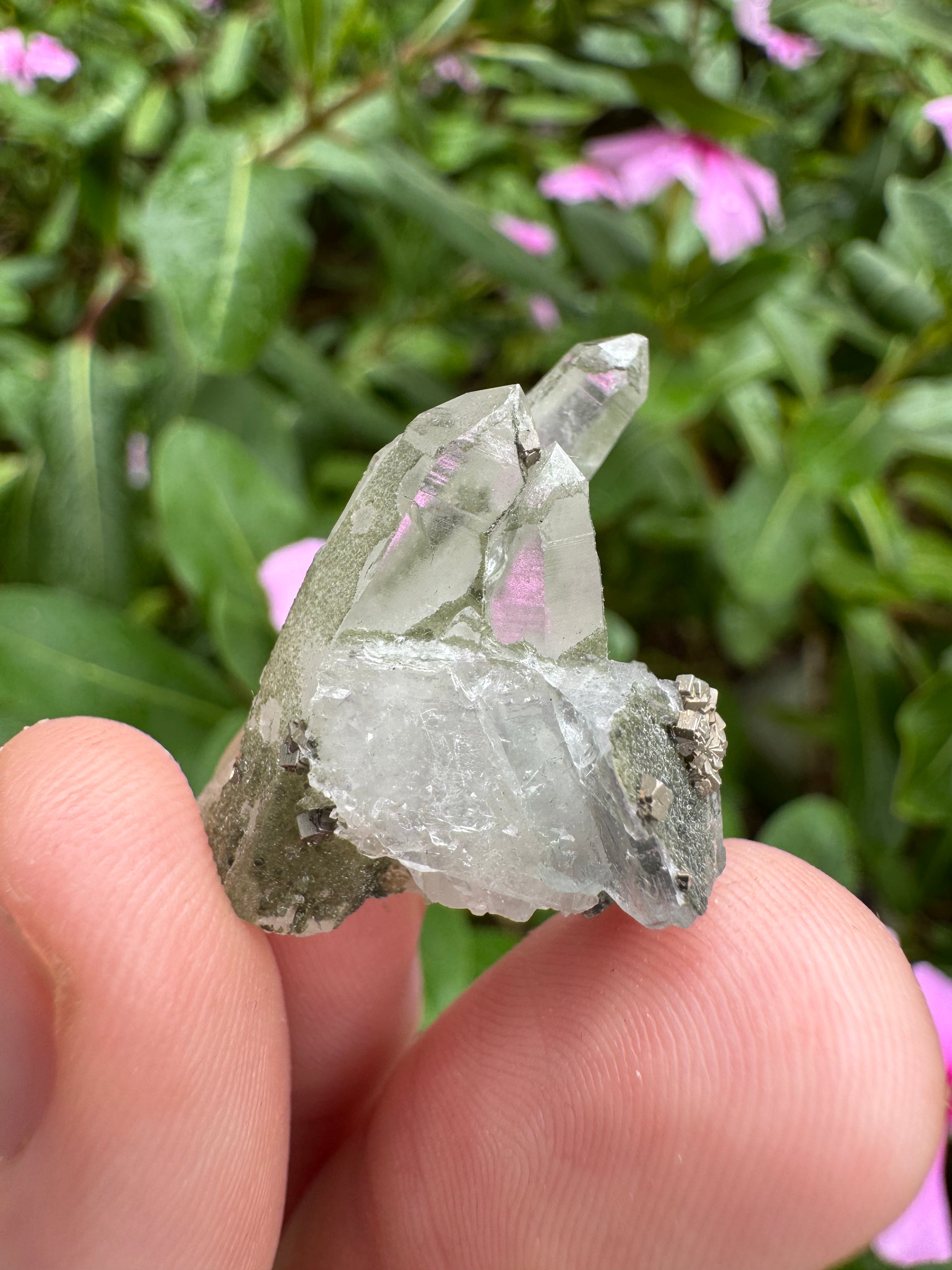 Pyrite on Fluorite Cluster - High Quality