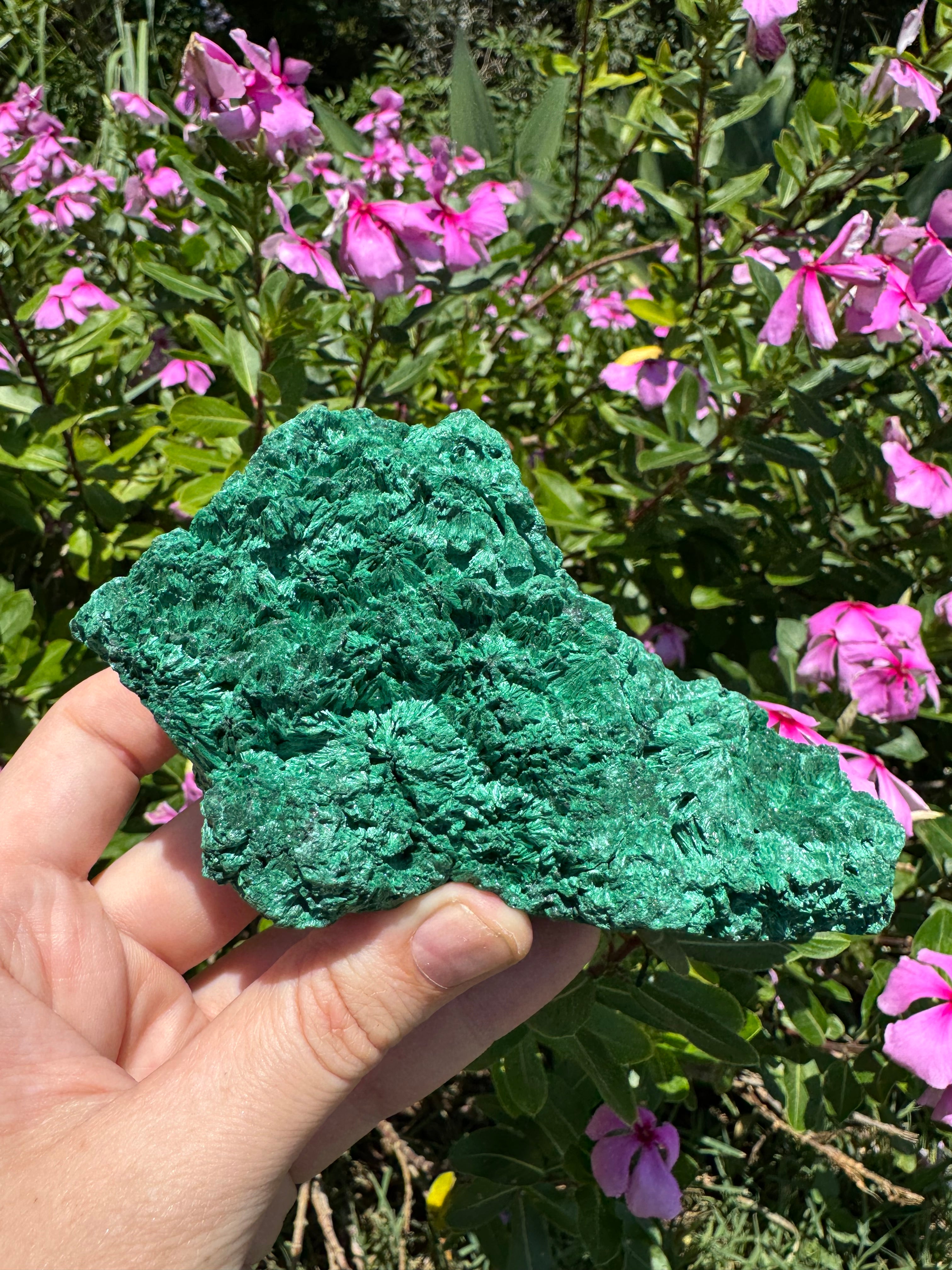 Malachite ‘Fibrous’ Specimen