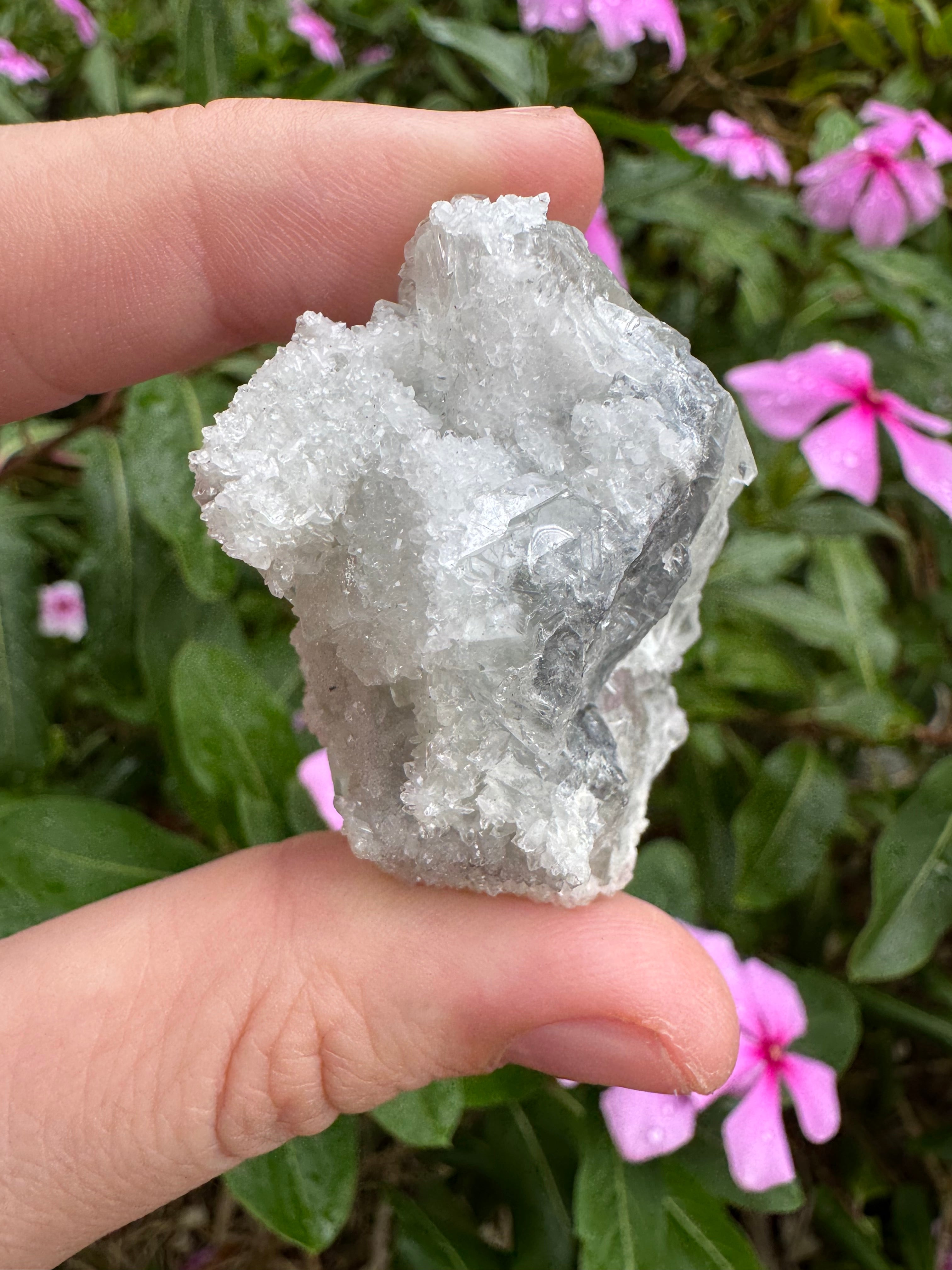 Sugar-Coated Cubic Fluorite Cluster