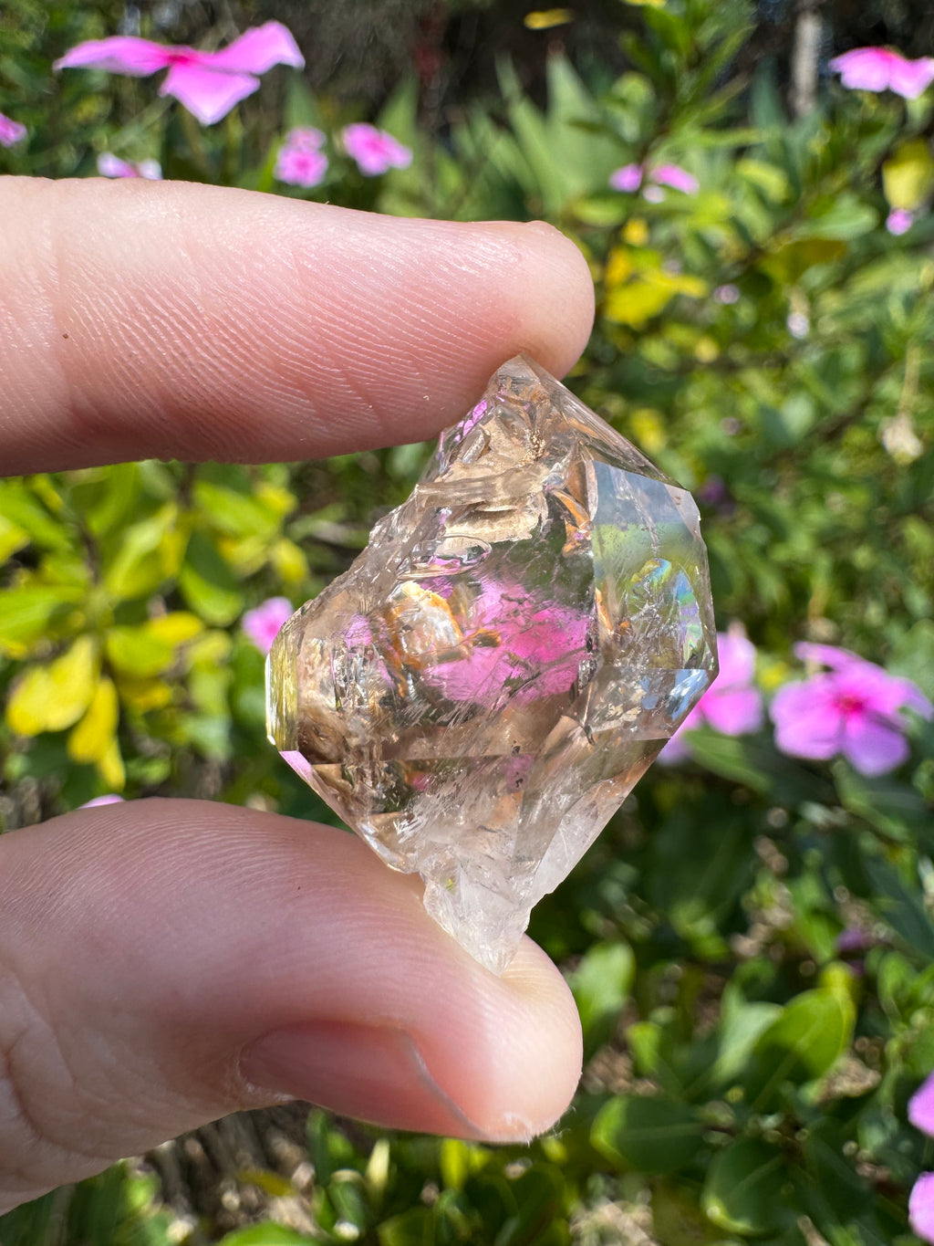 Brandberg Clear Quartz Specimen